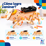 KIT ROBOT HEXÁPODO- PIEZA EDUCATIVA STEM CONSTRUCCIÓN Y EXPERIMENTACIÓN Stem Diy Auto Madera Para Armar Proyecto Educativo Ciencia Stem Diy Juguete