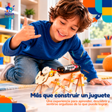 KIT ROBOT HEXÁPODO- PIEZA EDUCATIVA STEM CONSTRUCCIÓN Y EXPERIMENTACIÓN Stem Diy Auto Madera Para Armar Proyecto Educativo Ciencia Stem Diy Juguete